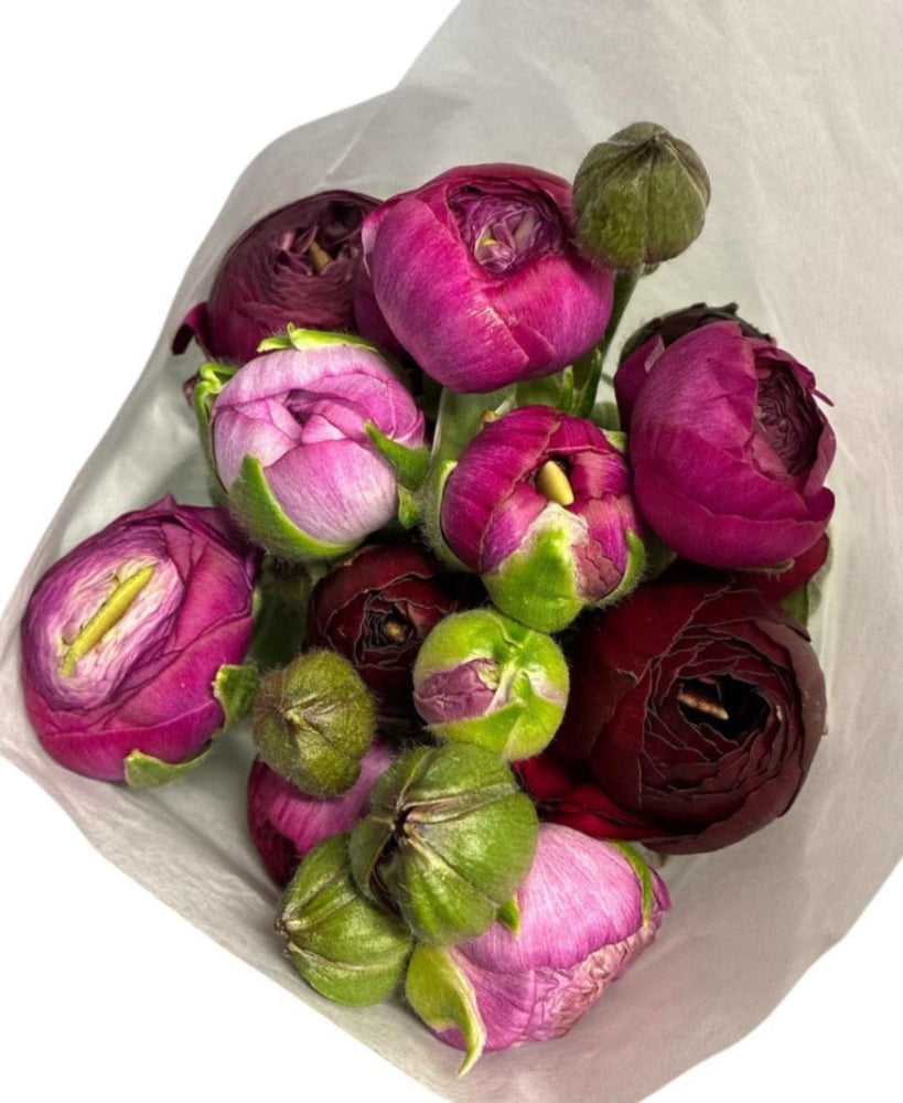 online ranunculus wholesale
