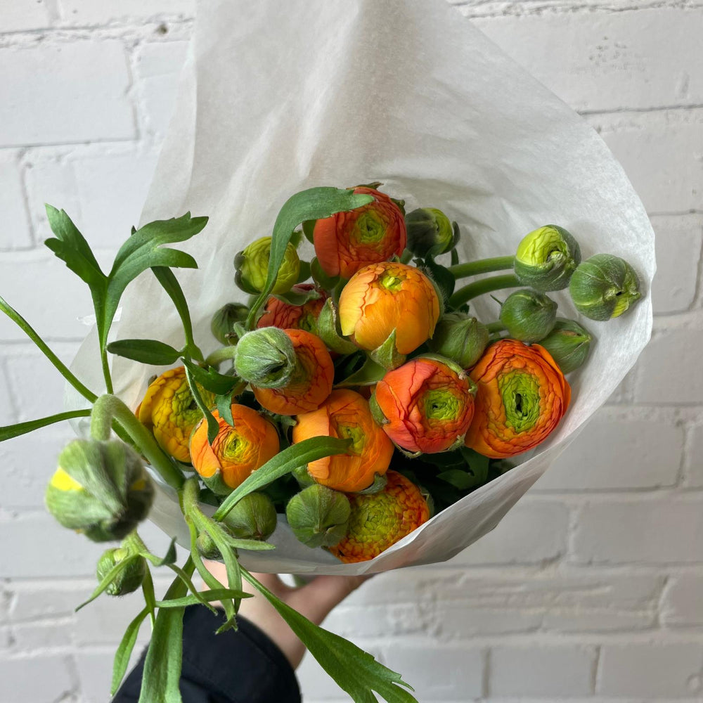 orange ranunculus buy now