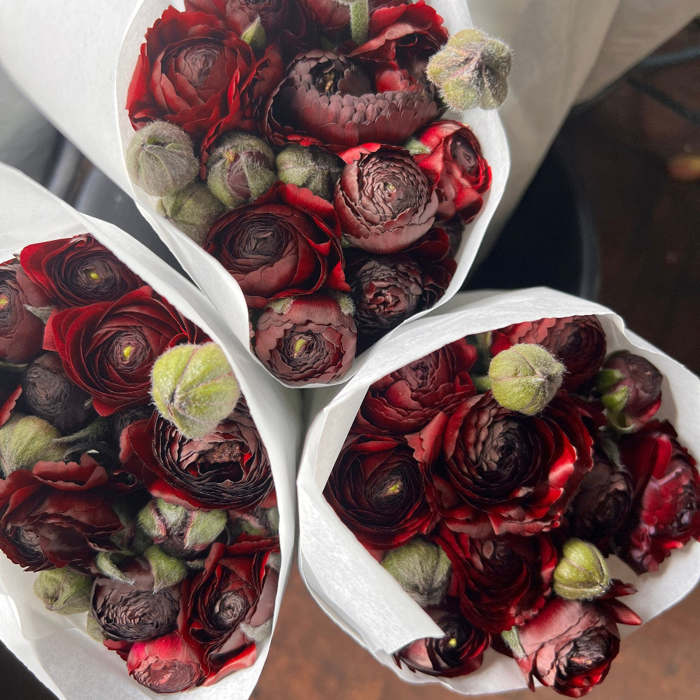 buy plum ranunculus online