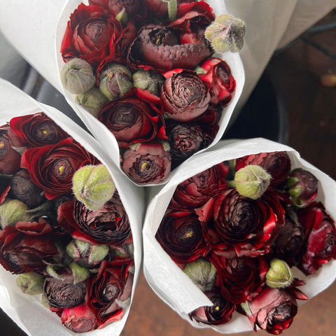 buy plum ranunculus online