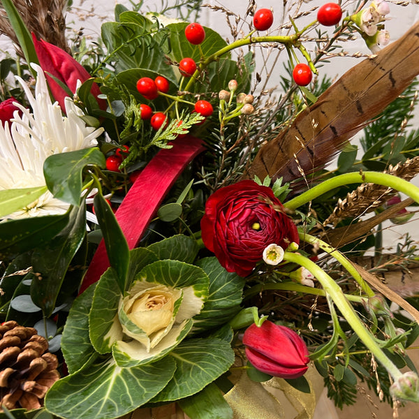 Brassica (Indoor grown) White Crane-10 stems