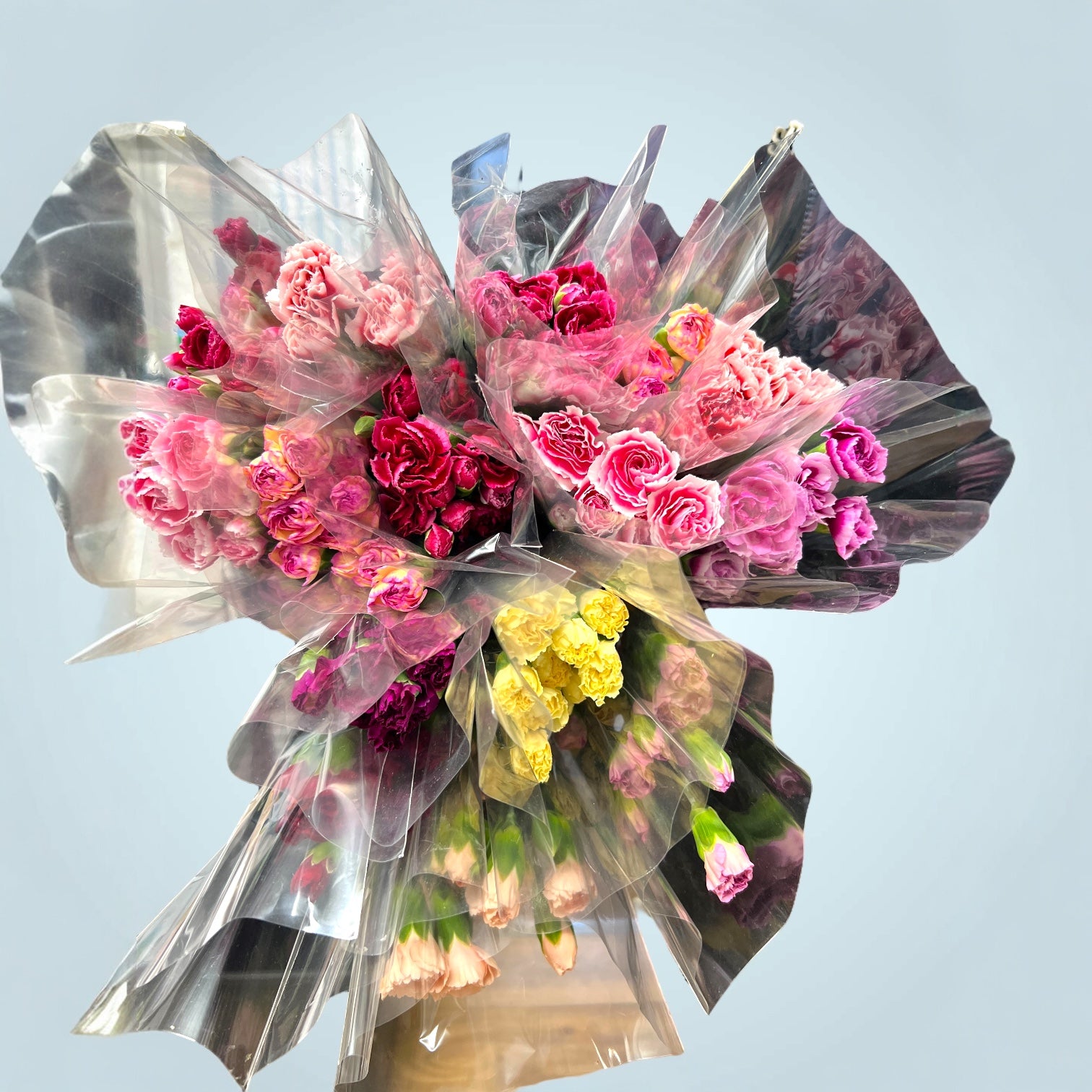 IMPORT - Spray Carnation - Growers choice Mix 25 stems