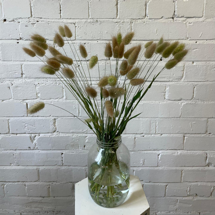 wholesale UK dried flower decor 