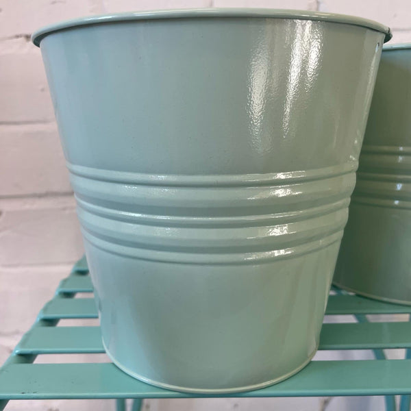 sage plant pot wholesale
