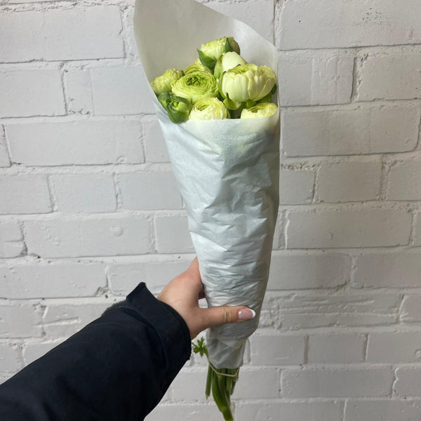 Ranunculus 40cm -Cream- Bunch of 10 stems