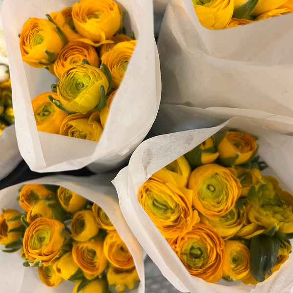 Ranunculus 40cm -Yellow- Bunch of 10 stems