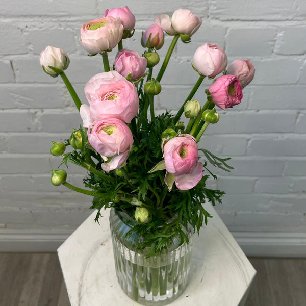 Ranunculus AUTUMN - Bunch of 10 stems PINK