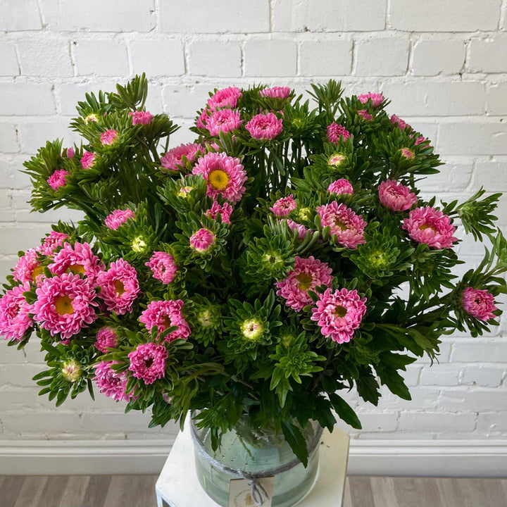 pink aster bunches online UK