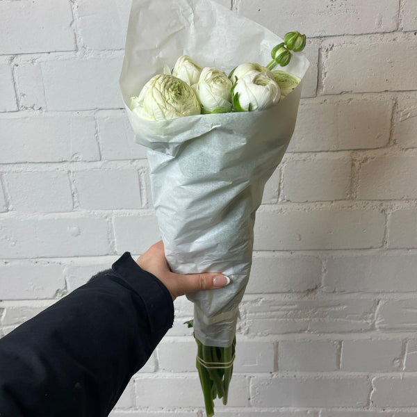 Ranunculus 40cm -White- Bunch of 10 stems