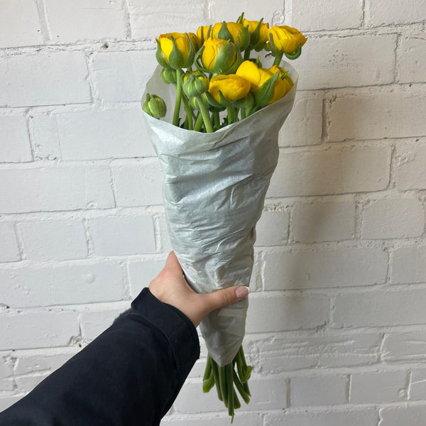 Ranunculus 40cm -Yellow- Bunch of 10 stems