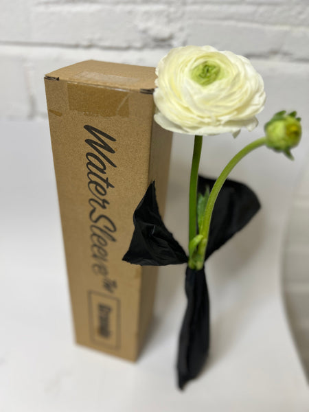 buy transit solutions floristry