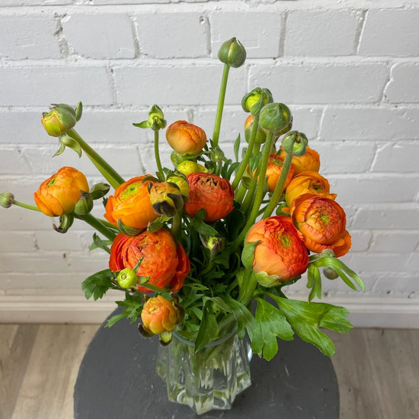 Ranunculus 40cm -Orange- Bunch of 10 stems