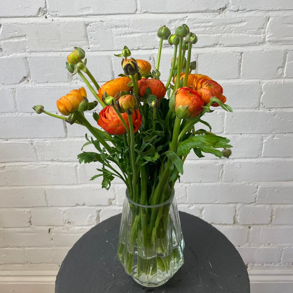 Ranunculus 40cm -Orange- Bunch of 10 stems