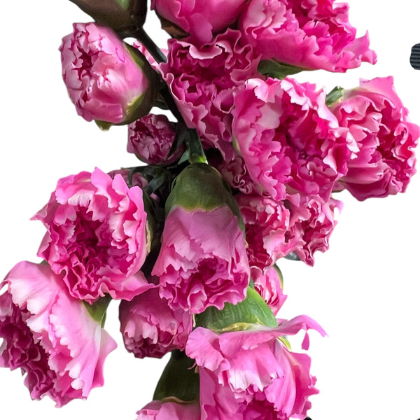 IMPORT - Standard Carnation - Pink 25 stems