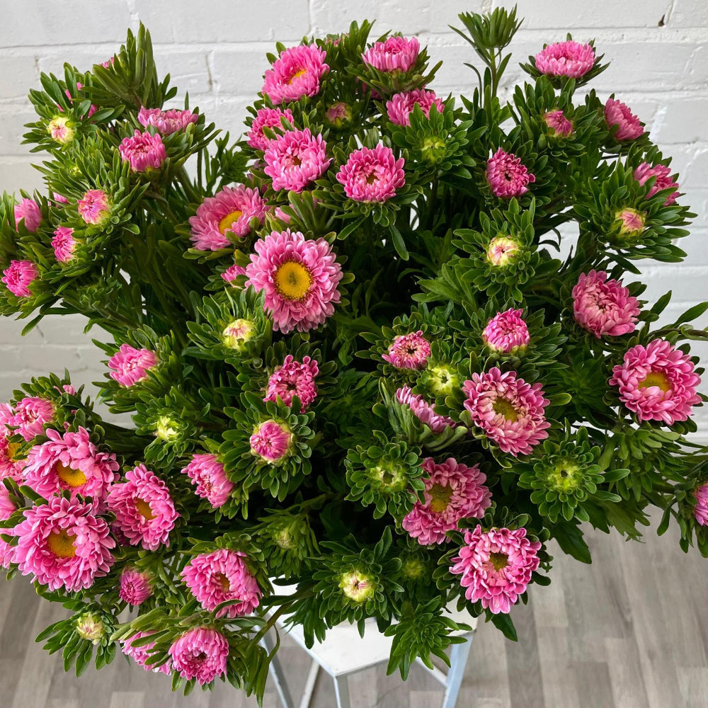 pink filler bouquet flower asters