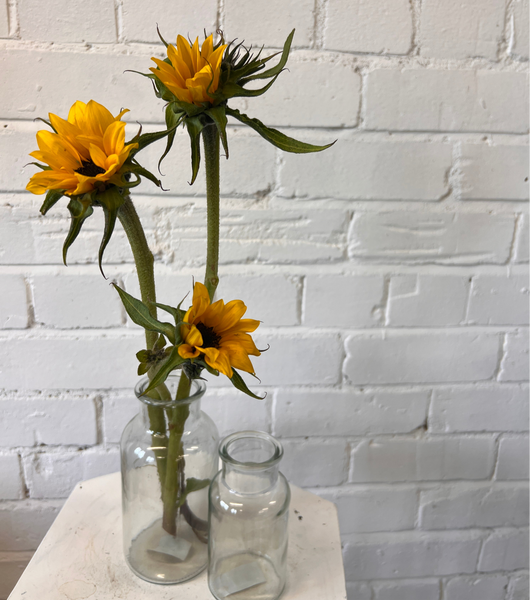 Miniature Sunflowers **DINKY SUNS** 10 stems