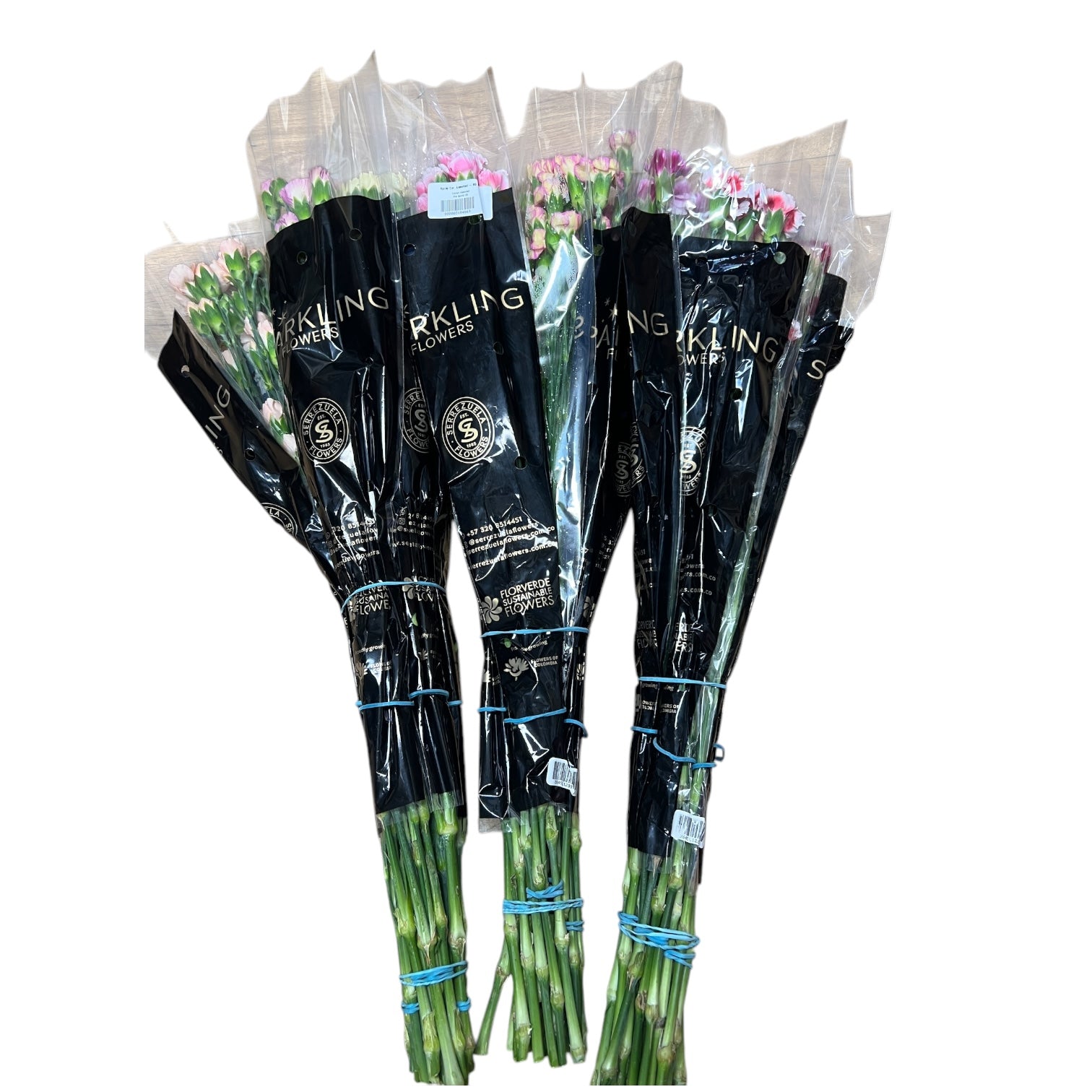 IMPORT - Spray Carnation YELLOW 25 stems