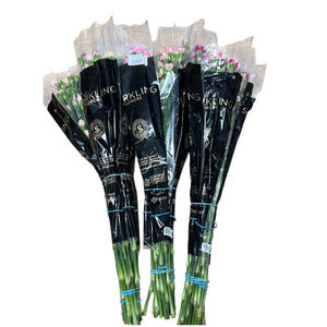 IMPORT - Spray Carnation YELLOW 25 stems