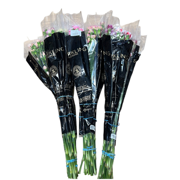 IMPORT - Spray Carnation - Growers choice Mix 25 stems