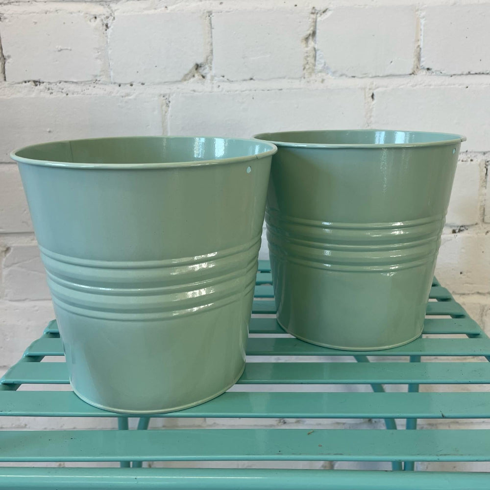 sage green pot online