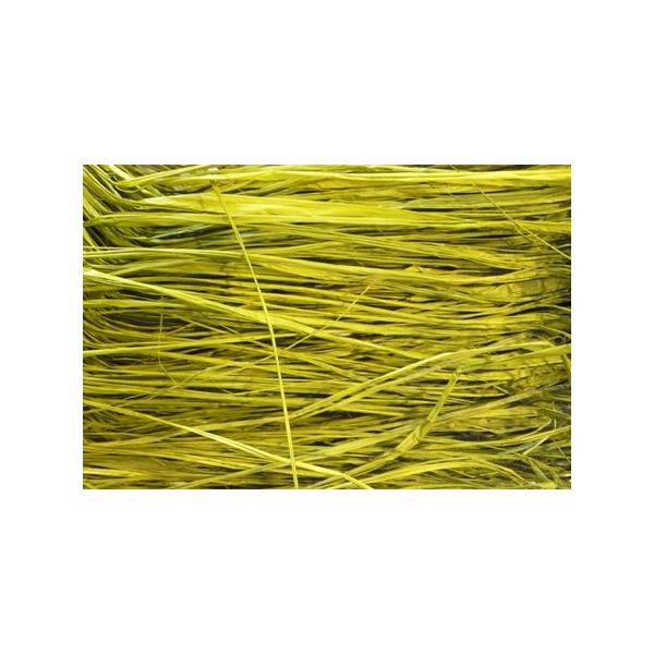 A hank of apple green raffia, used for crafting and floral arrangements.