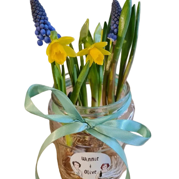 Wholesale Boucle bulb pack featuring UK grown Lincolnshire Tete a Tete double daffodil bulbs for sustainable spring arrangements