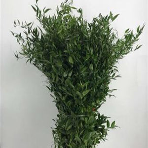 foliage green sale