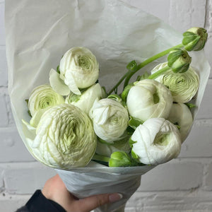 white wedding flowers and decor online
