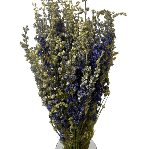 DRIED - Larkspur 5 BUNCH BUNDLE - Blue