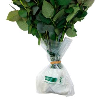A close-up of cut flower stems wrapped in the eco-friendly, compostable Chrysal Arrive Alive Eco hydration wrap showing the moist texture holding water.
