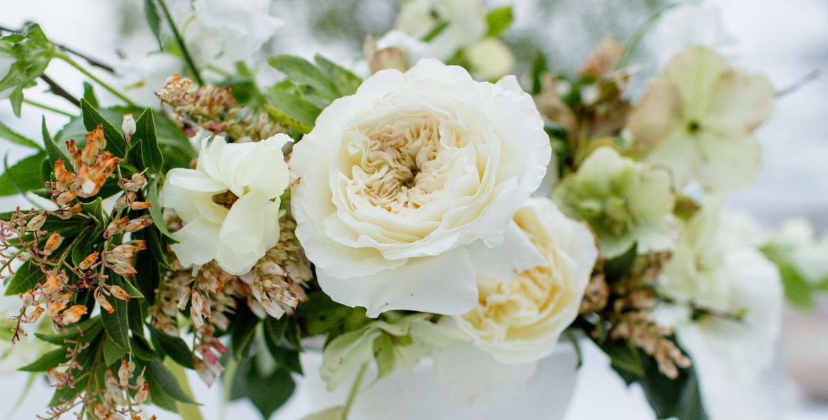 A close-up of a floral arrangement featuring large white and cream roses with green foliage and small dried orange-brown accents, photographed against a softly blurred light background.