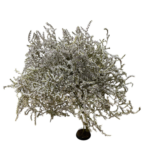 Decorative silver bush on a white background