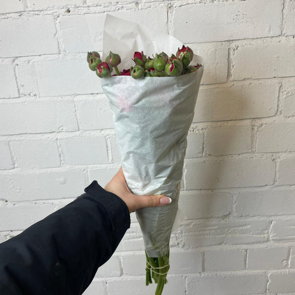 Ranunculus 40cm -Plum- Bunch of 10 stems