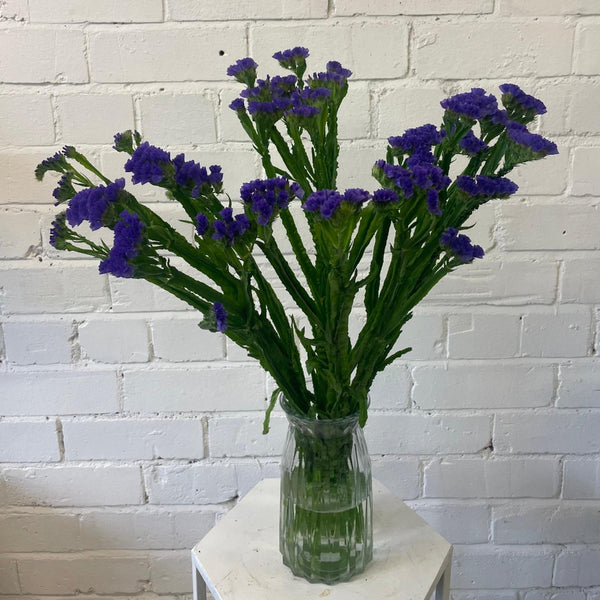 lincolnshire wholesale blooms static blue