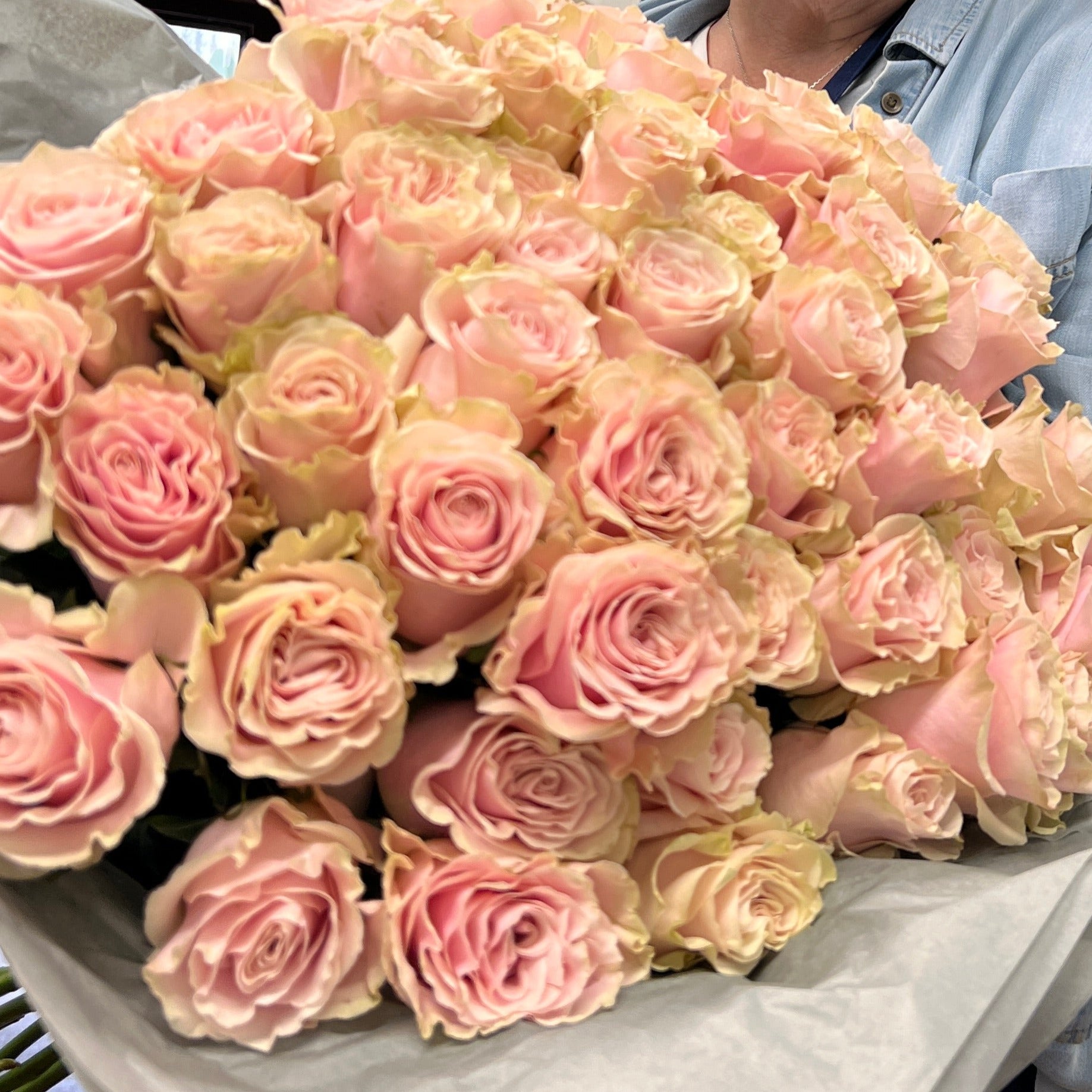 IMPORT ROSE - Large Headed Pink Mondial 50cm 10 stems