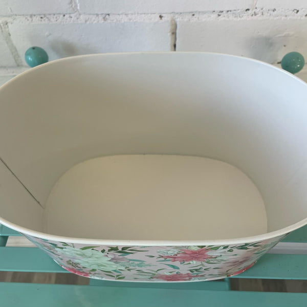 potted plants online wholesaler