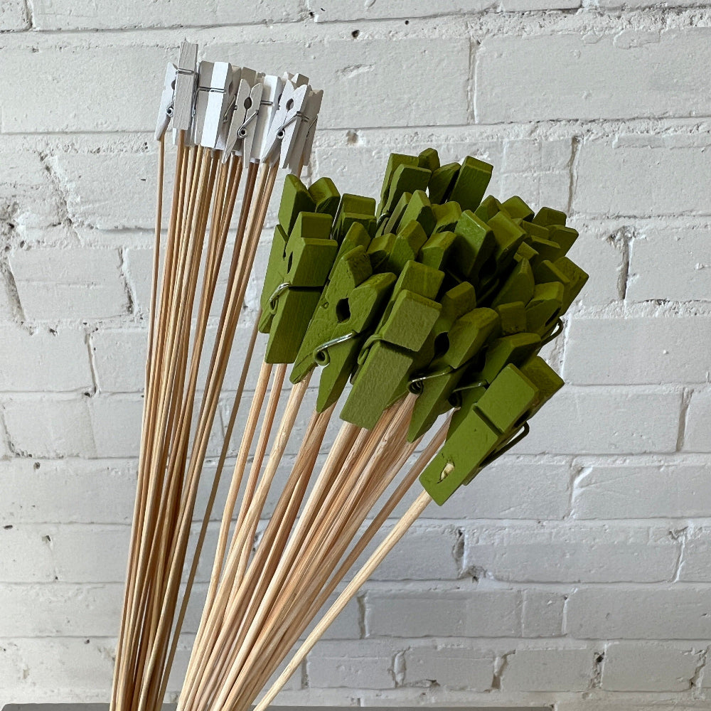 Cardholder – Wooden Peg on Stick Green (50cm, Pack of 10)