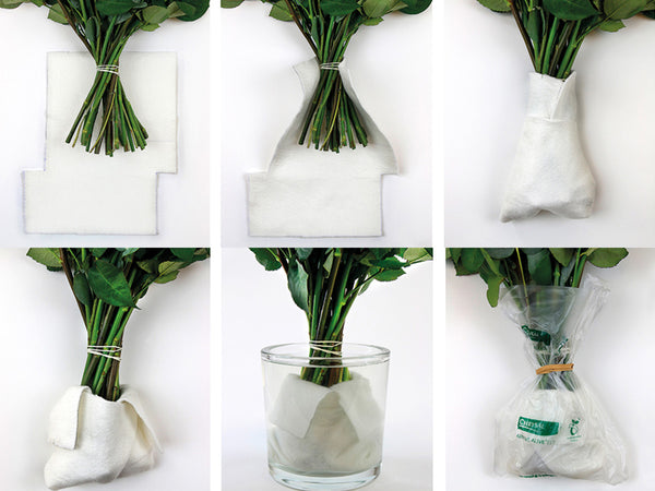 6 steps of the Chrysl Arrive Alive