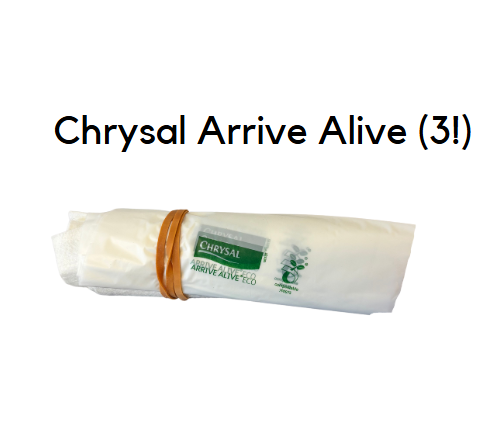 chrysal products wholesale UK florist