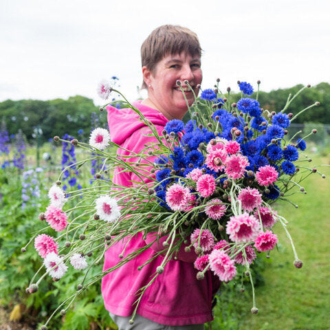 sustainabe florist guide UK wholesale florist