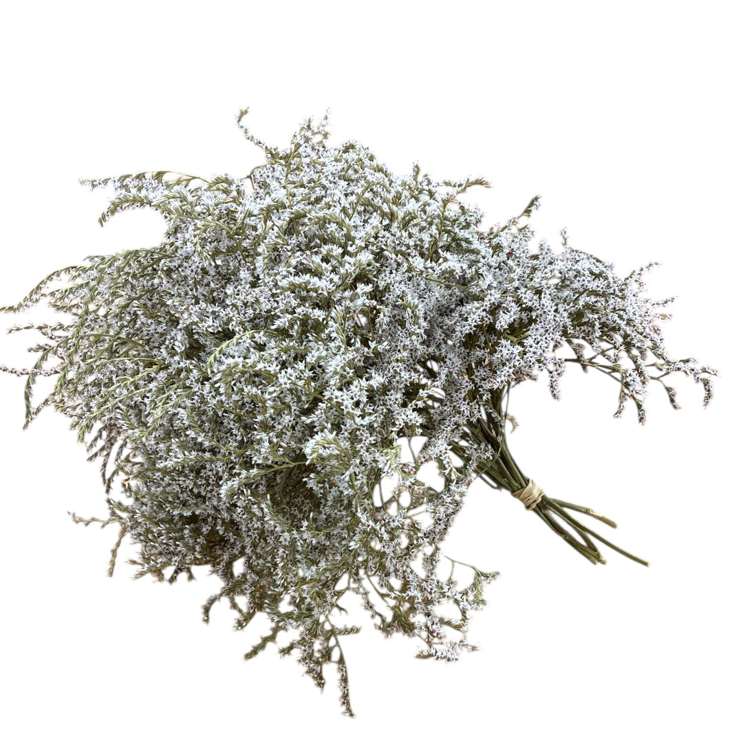Bouquet of small white flowers on a white background