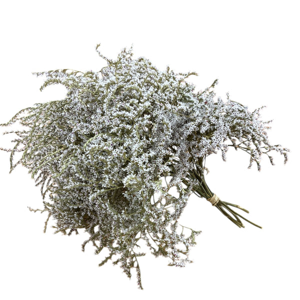 Bouquet of small white flowers on a white background