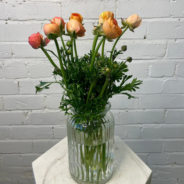 Ranunculus AUTUMN - Bunch of 10 stems CORAL