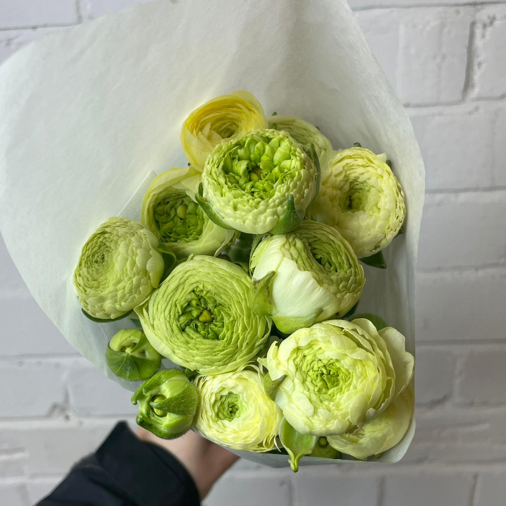 buy UK grown blooms wholesale spalding