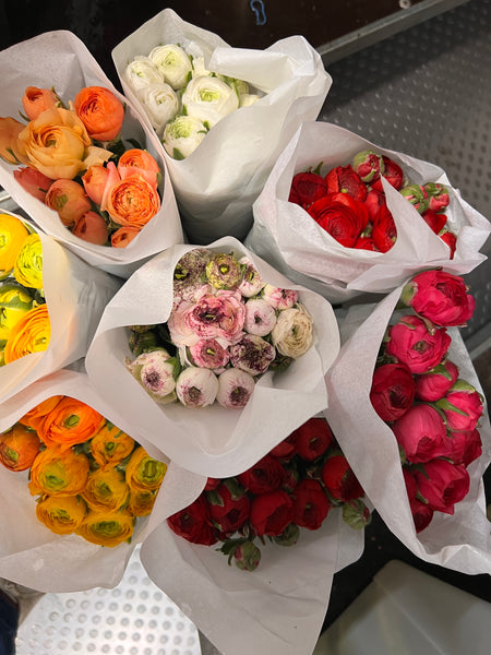 Ranunculus 40cm -Cerise- Bunch of 10 stems
