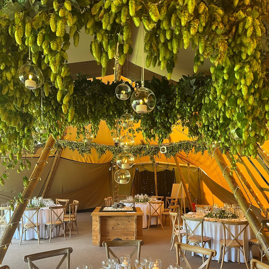 A rustic event tent decorated with hanging green grapevine clusters, glass globe pendant lights, and outdoor-style table settings with white tablecloths, chairs, and floral centerpieces.