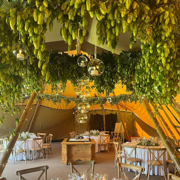 A rustic event tent decorated with hanging green grapevine clusters, glass globe pendant lights, and outdoor-style table settings with white tablecloths, chairs, and floral centerpieces.