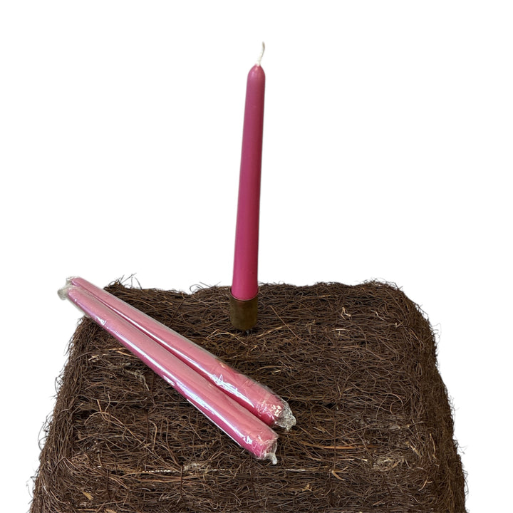 Hot Pink candles on a bed of coir with a white background