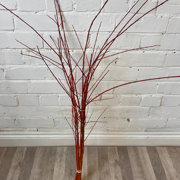 Willow - Scarlet 70-80cm 10 stems