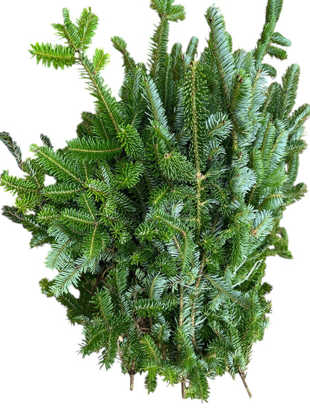 Bundle of premium Fraser Pine branches packaged in recycled boxes, perfect for florists creating Christmas wreaths and decorations